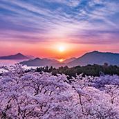 風景