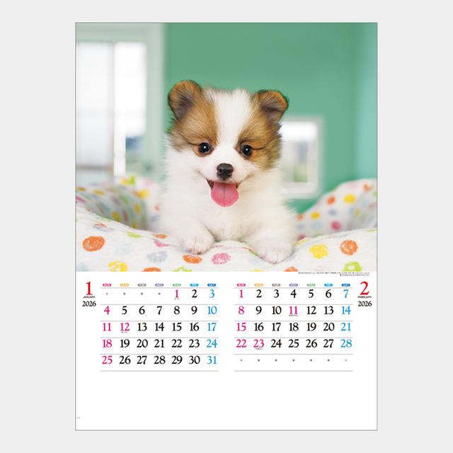 かわいい犬