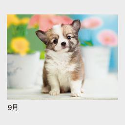 10サムネイル