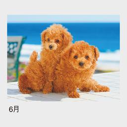 07サムネイル