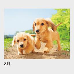 08サムネイル