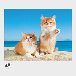 09サムネイル