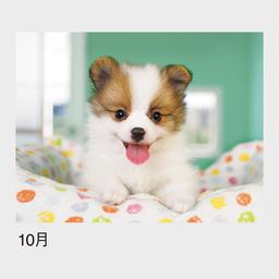 10サムネイル