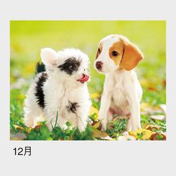 12サムネイル