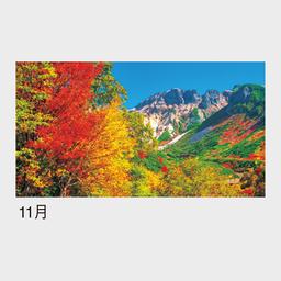 11サムネイル