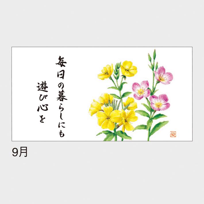 09