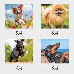03サムネイル