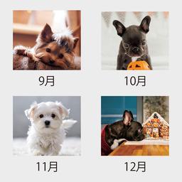 04サムネイル