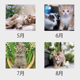 03サムネイル