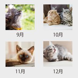 04サムネイル