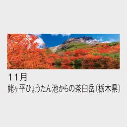 11サムネイル