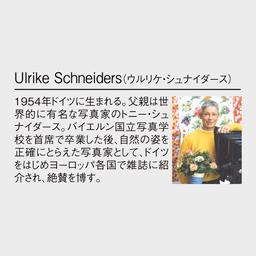 08サムネイル