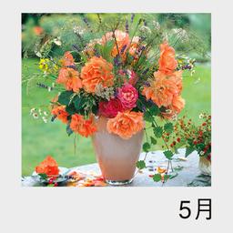 06サムネイル