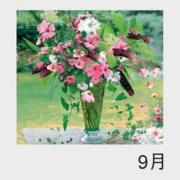 10サムネイル