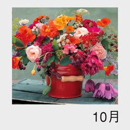 11サムネイル