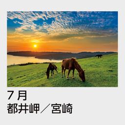 08サムネイル