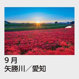 10サムネイル