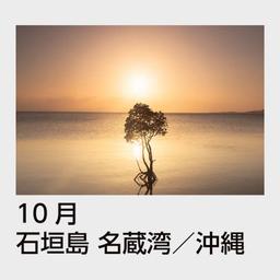 11サムネイル