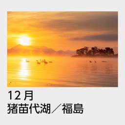 13サムネイル