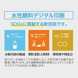 06サムネイル