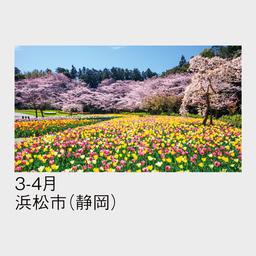 03サムネイル