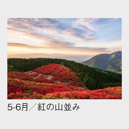 04サムネイル