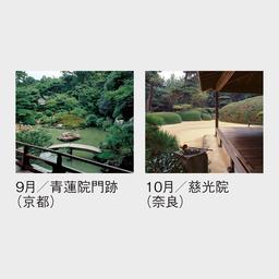 06サムネイル