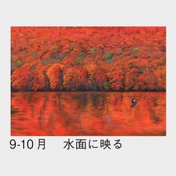 06サムネイル