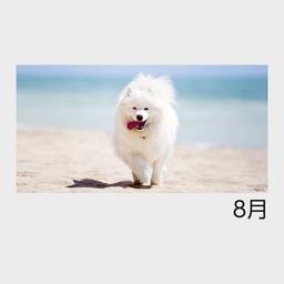 08サムネイル
