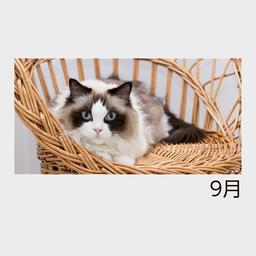 09サムネイル