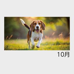 10サムネイル