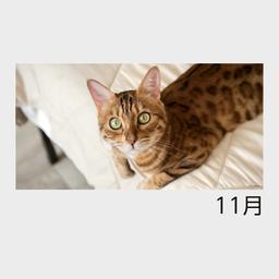 11サムネイル