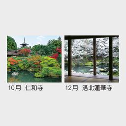 06サムネイル