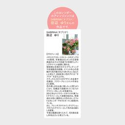 07サムネイル