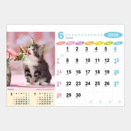 07サムネイル