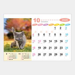 11サムネイル