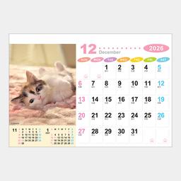 13サムネイル