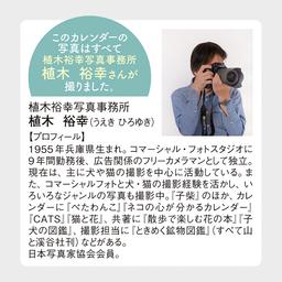 15サムネイル