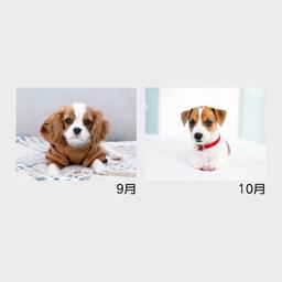 06サムネイル