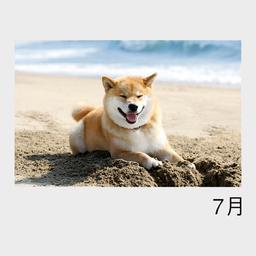 07サムネイル