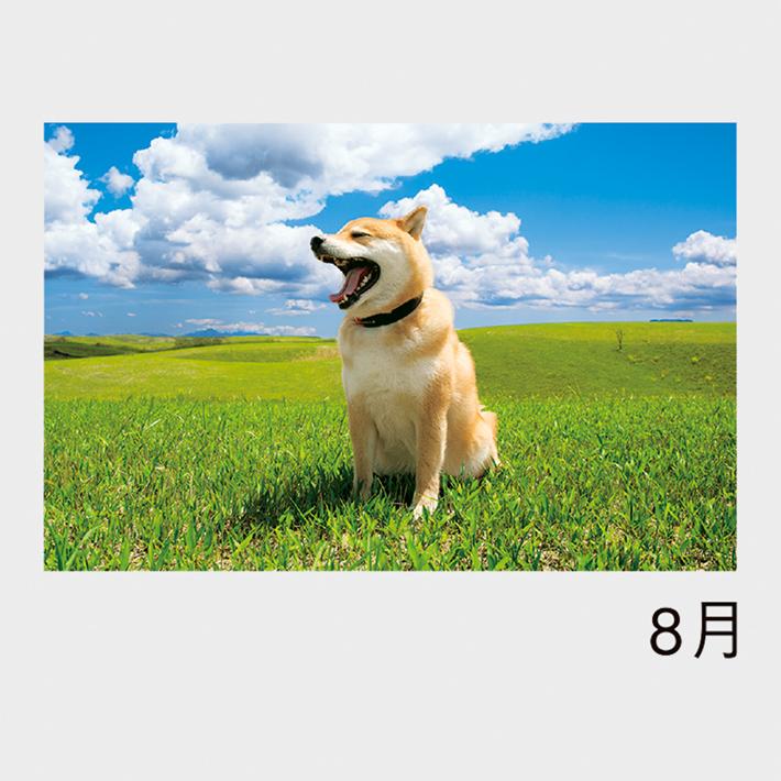 08