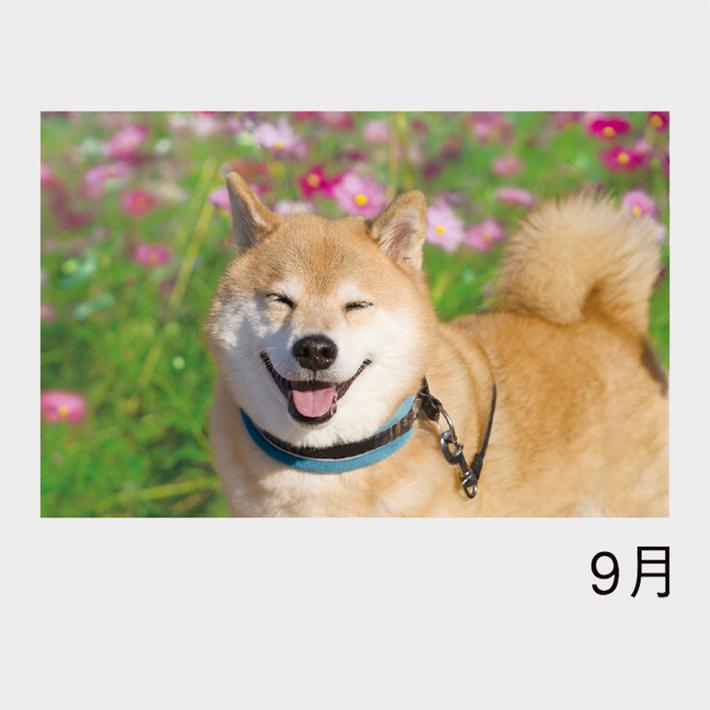 09