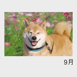 09サムネイル