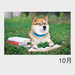 10サムネイル