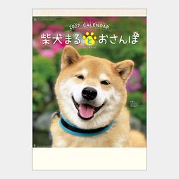13サムネイル