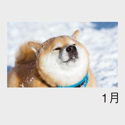 03サムネイル