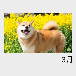 05サムネイル