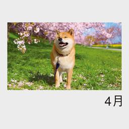 06サムネイル