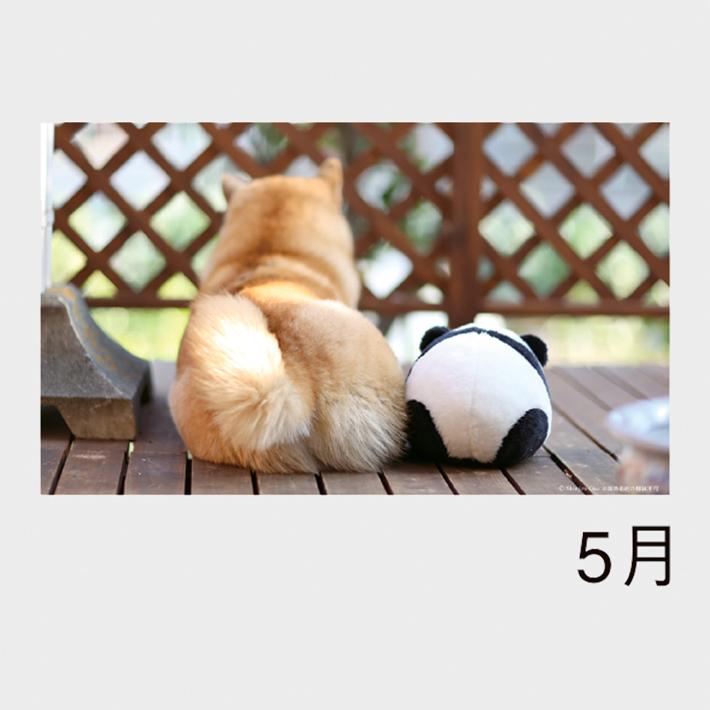 07