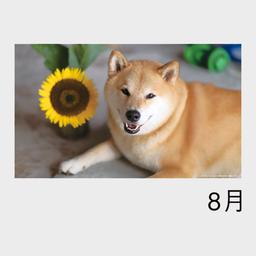 10サムネイル